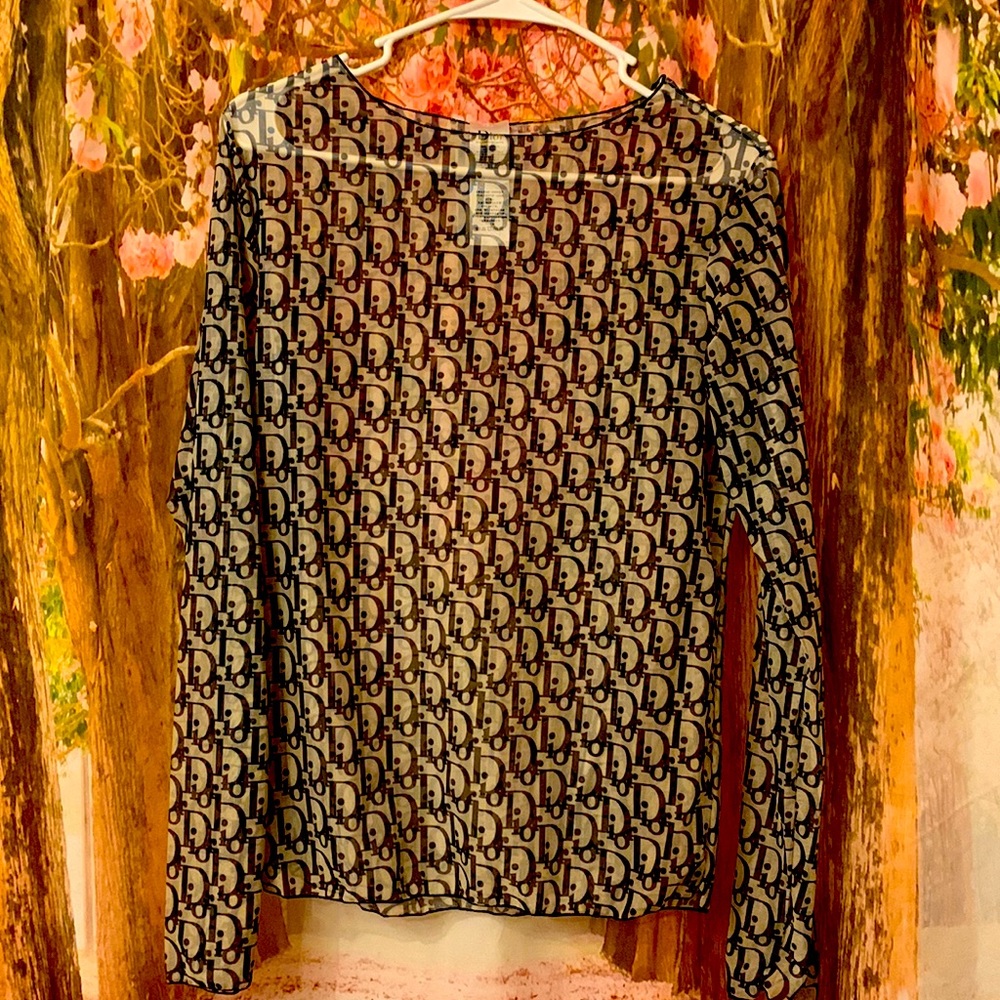 Sheer Dior pullover top